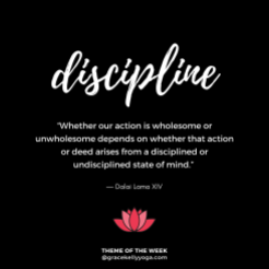 discipline_INSTA